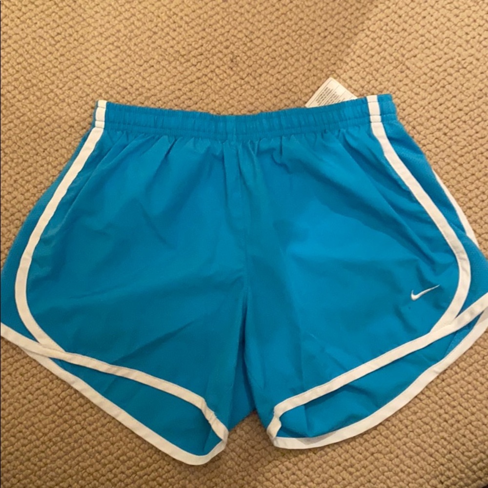 Turquoise Nike shorts. Kids large